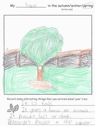 Spring Tree